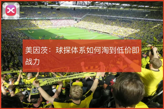 美因茨:球探体系如何淘到低价即战力